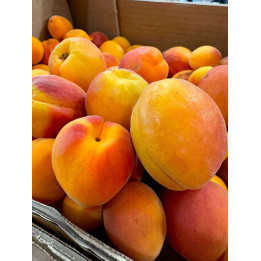 Abricots - Les Pieds dans l'Champs