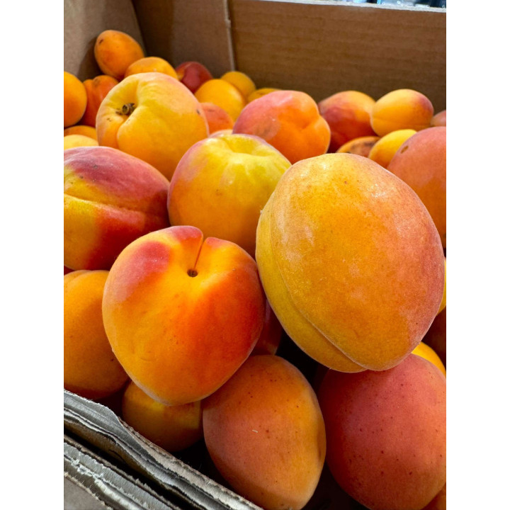 Abricots - Les Pieds dans l'Champs