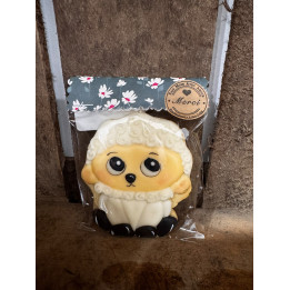 Biscuit fait maison - Chiot - Les Pieds dans l'Champs