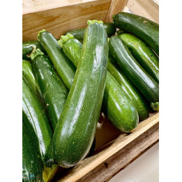Courgette bio - Les Pieds dans l'Champs