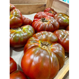 Tomate cœur de bœuf - Les Pieds dans l'Champs