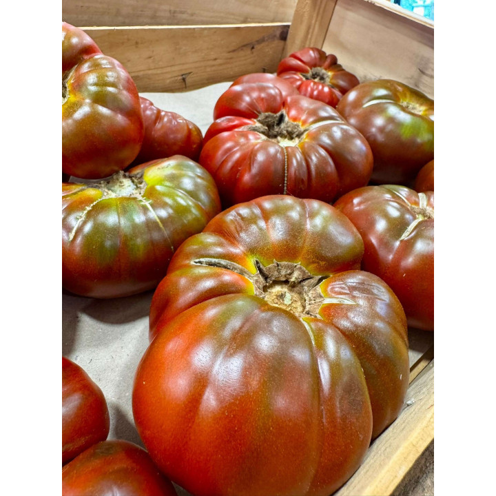 Tomate cœur de bœuf - Les Pieds dans l'Champs