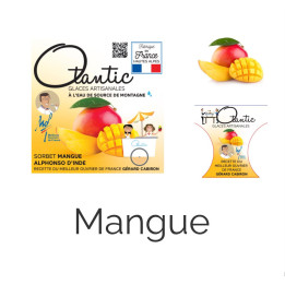 Glace Mangue - Bac 750ml - Les Pieds dans l'Champs