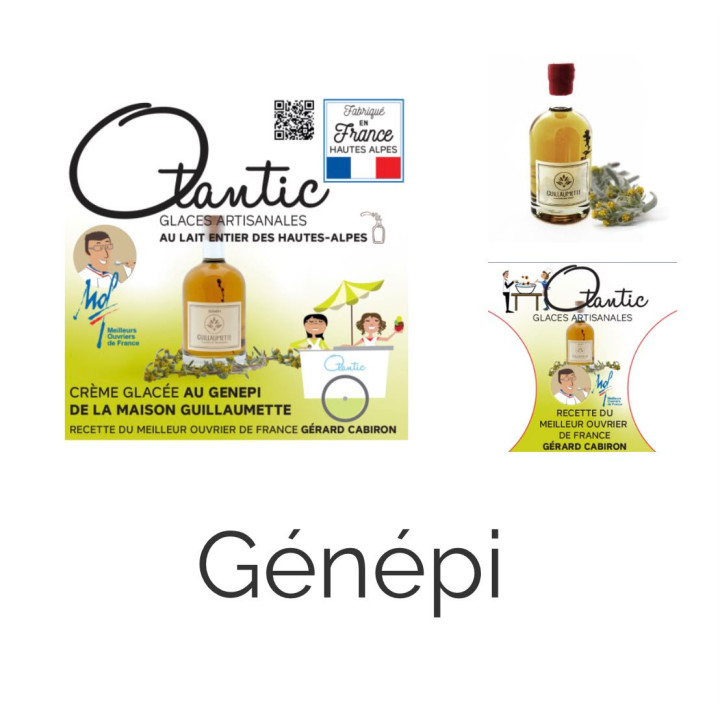 Glace Génépi - Bac 750ml - Les Pieds dans l'Champs