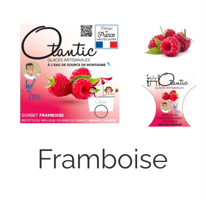 Glace Framboise - Bac 750ml - Les Pieds dans l'Champs