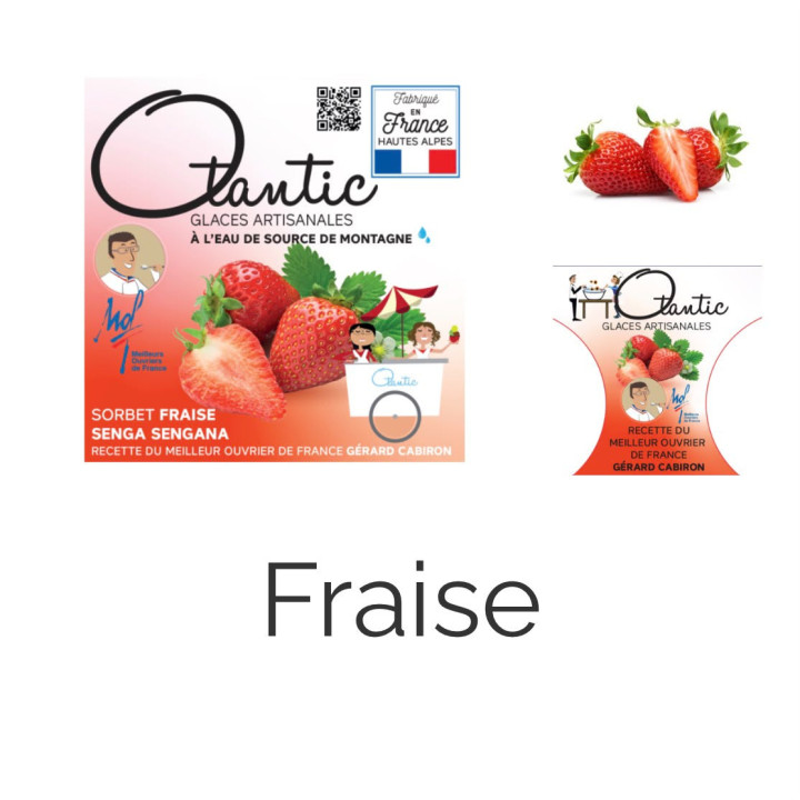 Glace Fraise - Bac 750ml - Les Pieds dans l'Champs
