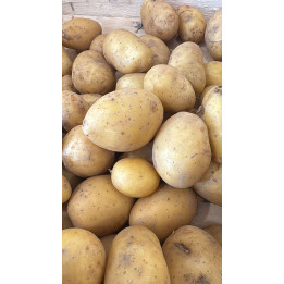 Pommes de terre grenaille Bio