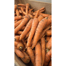 Carottes Bio - Les Pieds dans l'champs