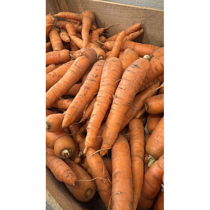 Carottes Bio - Les Pieds dans l'champs