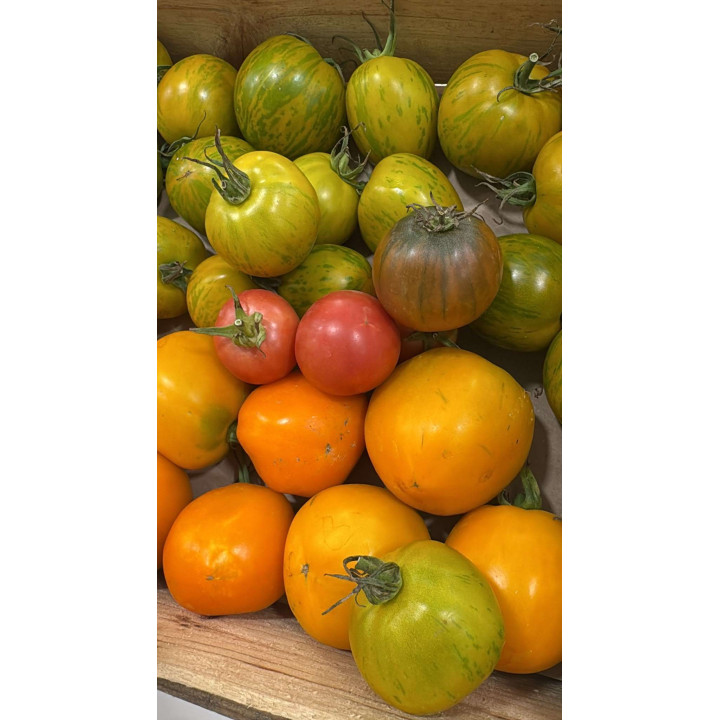 Tomates mix Bio - Les Pieds dans l'Champs