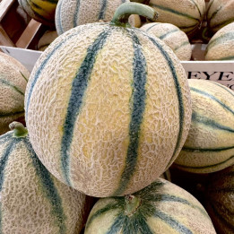 Melon