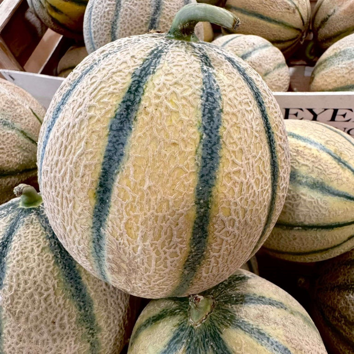 Melon