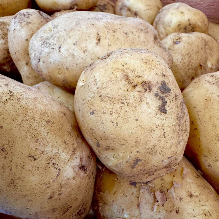 Patate AGATA vrac