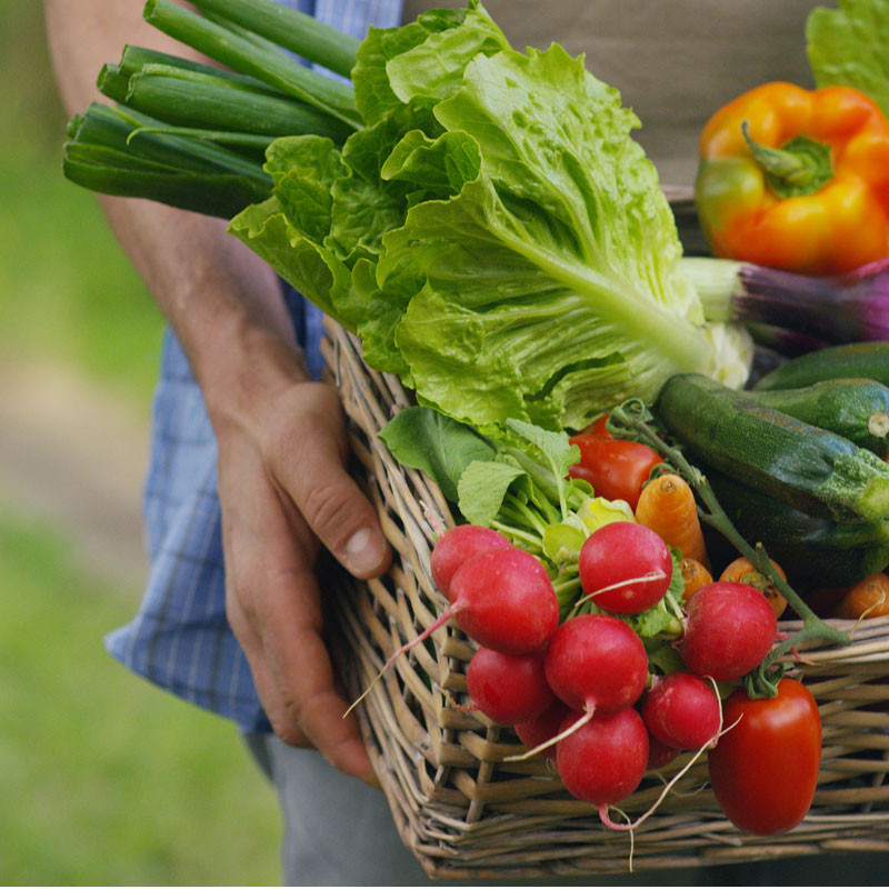 Fruits & Légumes